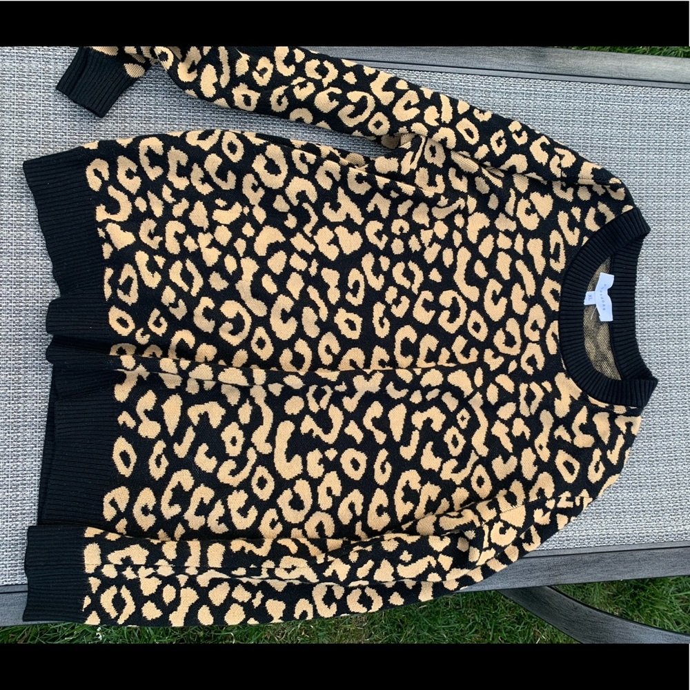 Popsugar Cheetah Sweater